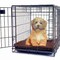Pet Adobe Pet Adobe Large-XL Self Warming Thermal Pet Crate Pad-36"x24"-Chocolate 439203RKL - alternate 8